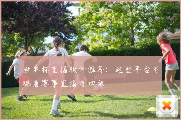 世界杯直播软件推荐：这些平台可观看赛事直播与回放