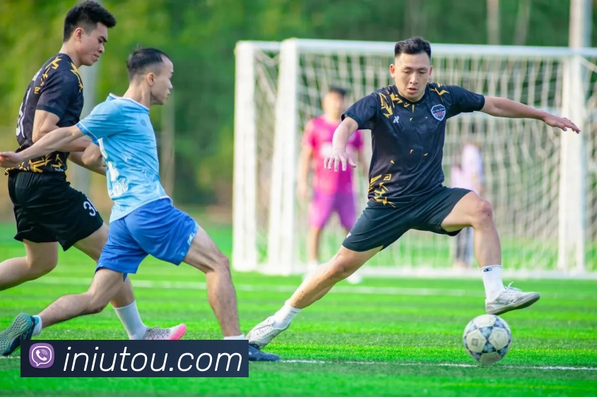 星空app官网服务体系